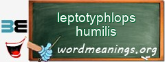 WordMeaning blackboard for leptotyphlops humilis